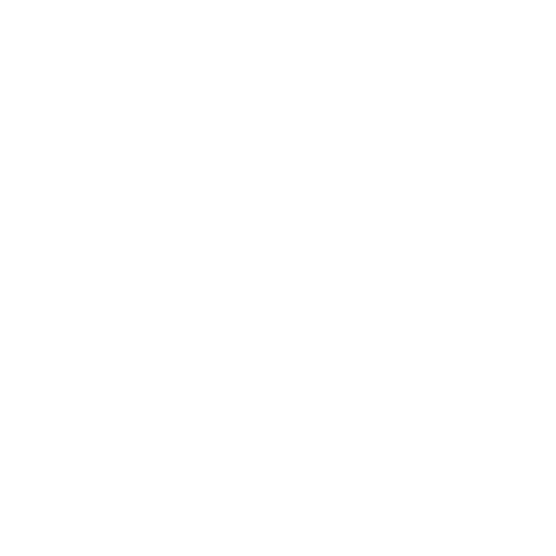 Copy Icon
